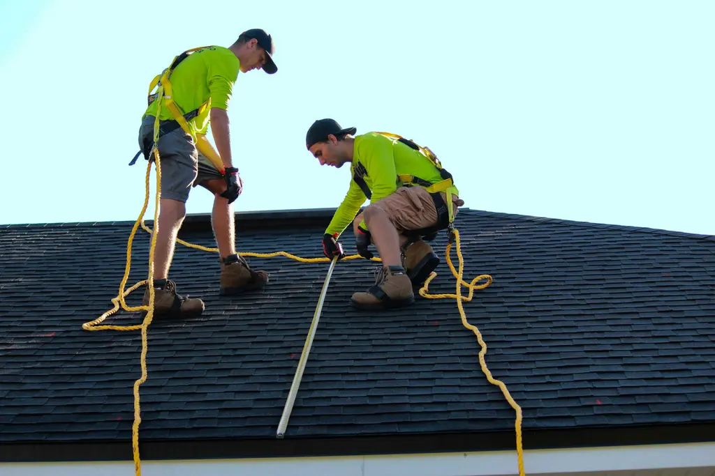 Two roofers in safety harnesses on a shingle roof